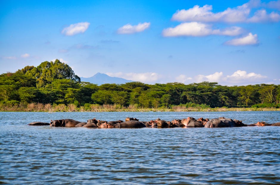 動物を「石」に変えるアフリカの湖 — pH10.5の奇景