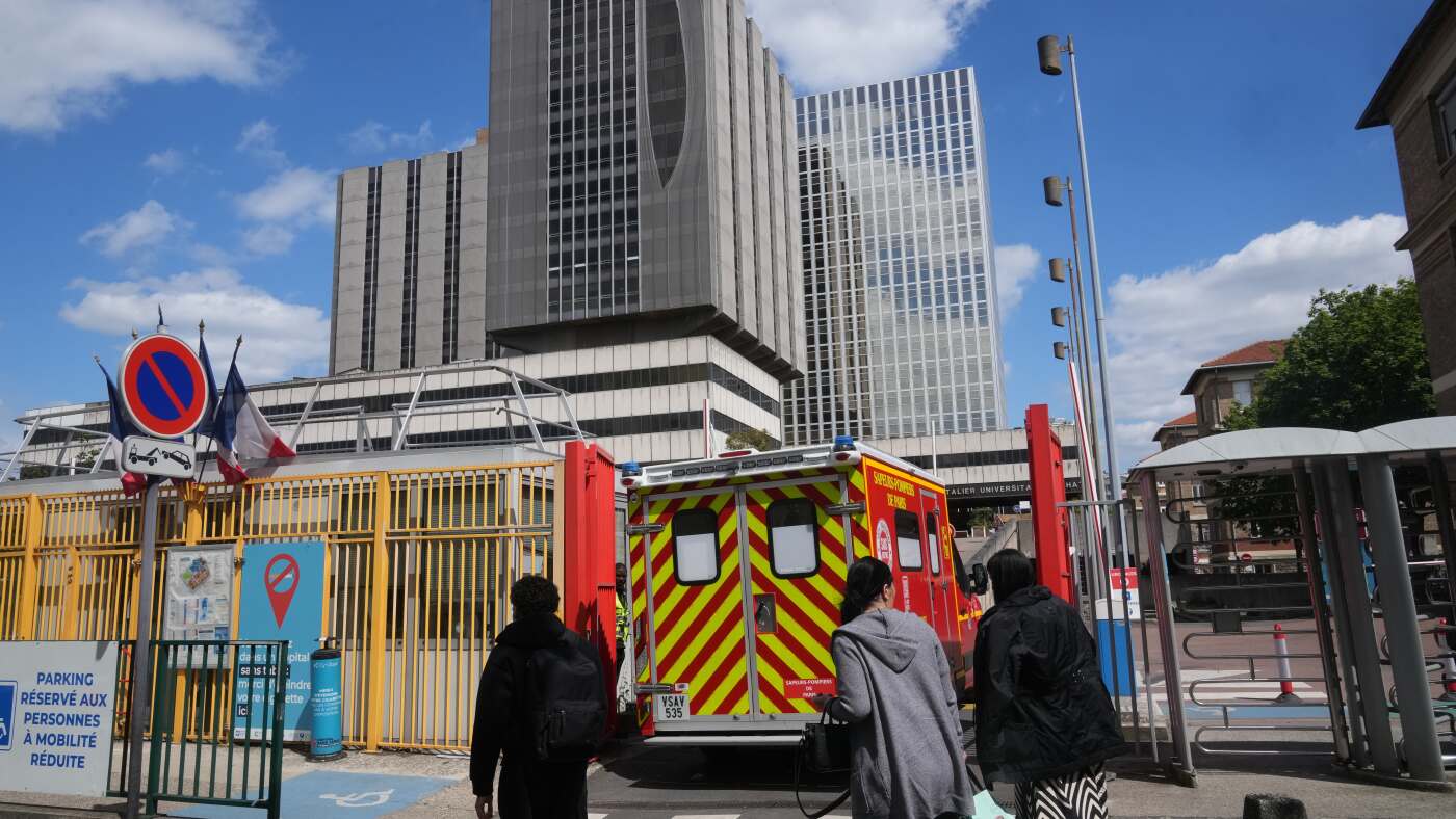 クルーズ船ハンタウイルス感染11人に、仏女性は人工肺で治療中