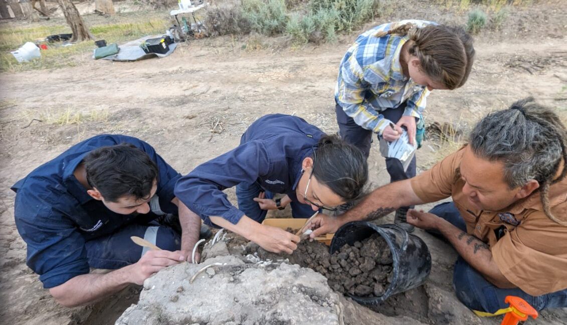 アボリジニが1,000年守り続けたディンゴの墓を豪研究チームが発掘、数世紀の供養跡も