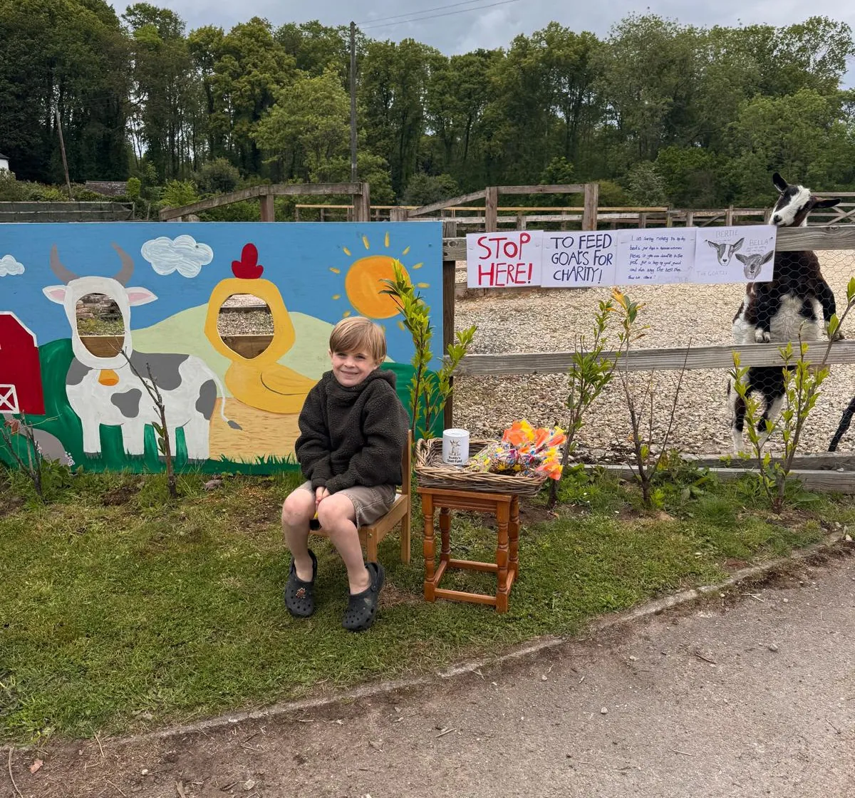 イギリスの6歳少年がヤギで募金、愛犬の死をきっかけに1万5,000ドル超集まる